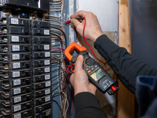 Best Ceiling Fan Installation Electrician  in Mondovi, WI