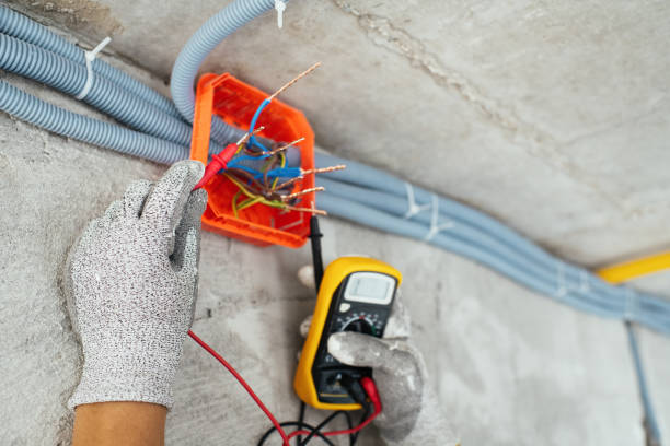 Best Licensed Electrician  in Mondovi, WI